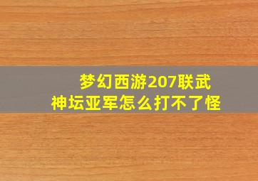 梦幻西游207联武神坛亚军怎么打不了怪