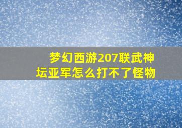 梦幻西游207联武神坛亚军怎么打不了怪物