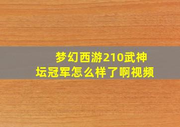 梦幻西游210武神坛冠军怎么样了啊视频