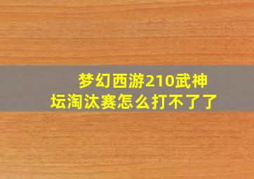 梦幻西游210武神坛淘汰赛怎么打不了了