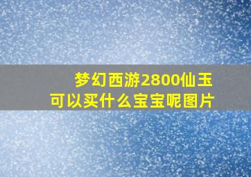 梦幻西游2800仙玉可以买什么宝宝呢图片