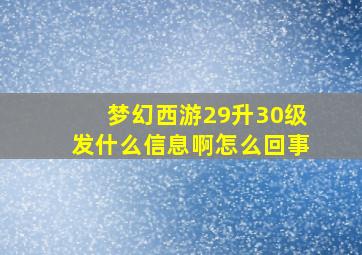 梦幻西游29升30级发什么信息啊怎么回事