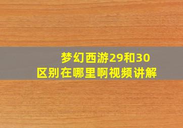 梦幻西游29和30区别在哪里啊视频讲解