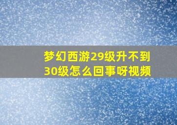 梦幻西游29级升不到30级怎么回事呀视频