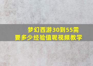 梦幻西游30到55需要多少经验值呢视频教学