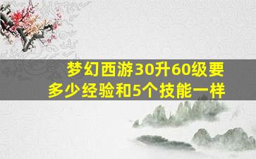 梦幻西游30升60级要多少经验和5个技能一样