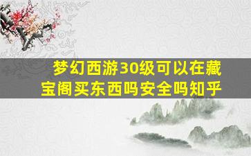 梦幻西游30级可以在藏宝阁买东西吗安全吗知乎