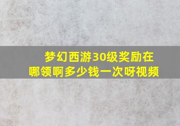 梦幻西游30级奖励在哪领啊多少钱一次呀视频