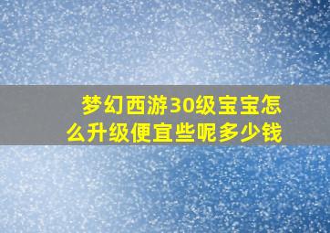 梦幻西游30级宝宝怎么升级便宜些呢多少钱