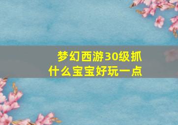 梦幻西游30级抓什么宝宝好玩一点