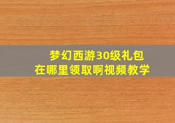 梦幻西游30级礼包在哪里领取啊视频教学