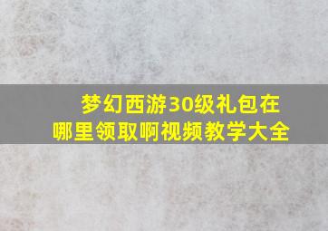 梦幻西游30级礼包在哪里领取啊视频教学大全