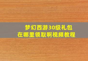 梦幻西游30级礼包在哪里领取啊视频教程