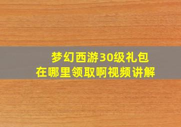 梦幻西游30级礼包在哪里领取啊视频讲解