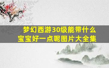 梦幻西游30级能带什么宝宝好一点呢图片大全集