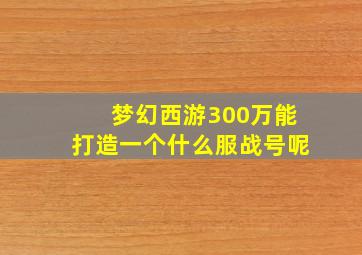 梦幻西游300万能打造一个什么服战号呢