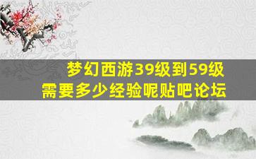 梦幻西游39级到59级需要多少经验呢贴吧论坛