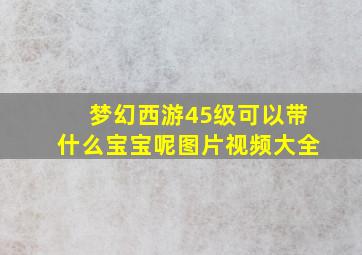 梦幻西游45级可以带什么宝宝呢图片视频大全