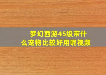 梦幻西游45级带什么宠物比较好用呢视频