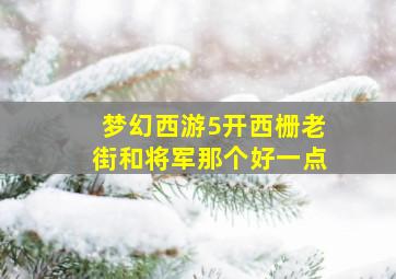 梦幻西游5开西栅老街和将军那个好一点