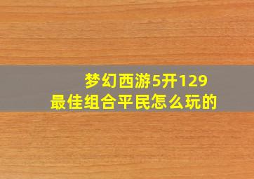 梦幻西游5开129最佳组合平民怎么玩的