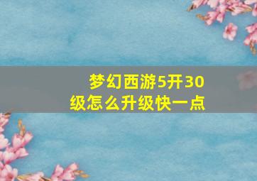 梦幻西游5开30级怎么升级快一点