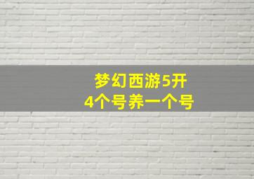 梦幻西游5开4个号养一个号