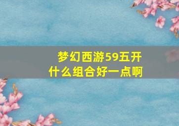 梦幻西游59五开什么组合好一点啊