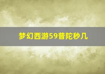 梦幻西游59普陀秒几