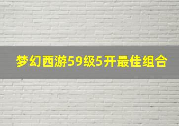 梦幻西游59级5开最佳组合