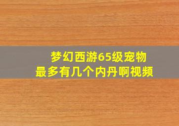 梦幻西游65级宠物最多有几个内丹啊视频