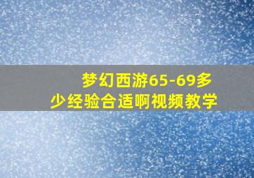 梦幻西游65-69多少经验合适啊视频教学