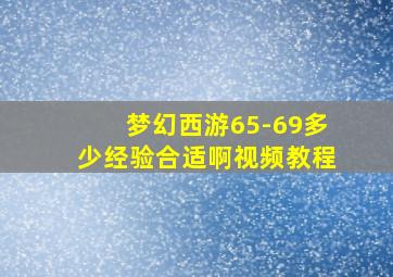 梦幻西游65-69多少经验合适啊视频教程