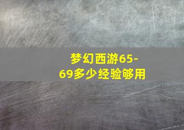 梦幻西游65-69多少经验够用