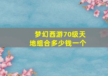 梦幻西游70级天地组合多少钱一个