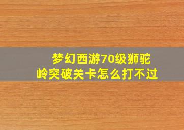 梦幻西游70级狮驼岭突破关卡怎么打不过