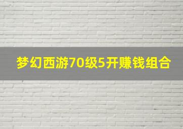 梦幻西游70级5开赚钱组合