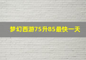 梦幻西游75升85最快一天