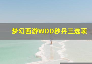 梦幻西游WDD秒丹三选项