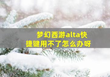 梦幻西游alta快捷键用不了怎么办呀