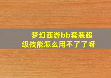 梦幻西游bb套装超级技能怎么用不了了呀