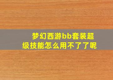 梦幻西游bb套装超级技能怎么用不了了呢