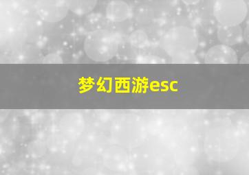 梦幻西游esc