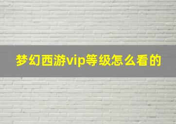 梦幻西游vip等级怎么看的