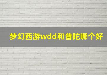 梦幻西游wdd和普陀哪个好