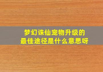 梦幻诛仙宠物升级的最佳途径是什么意思呀