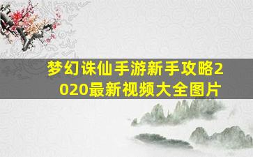 梦幻诛仙手游新手攻略2020最新视频大全图片