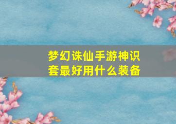 梦幻诛仙手游神识套最好用什么装备