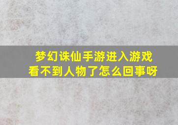 梦幻诛仙手游进入游戏看不到人物了怎么回事呀