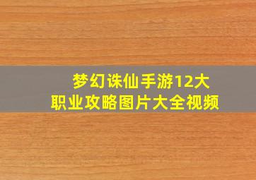 梦幻诛仙手游12大职业攻略图片大全视频